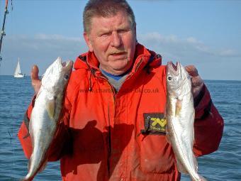 1 lb 8 oz Whiting by Alan Knot