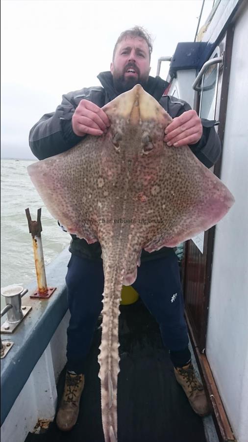 16 lb Thornback Ray by Aaron from herne bay