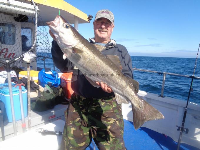 11 lb 2 oz Pollock by David