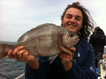 3 lb 12 oz Black Sea Bream by Tom