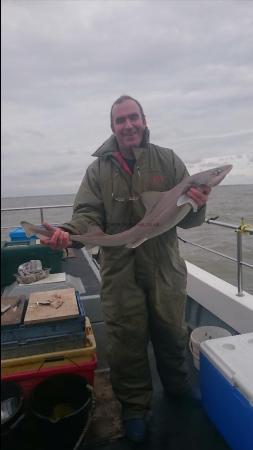 8 lb 4 oz Smooth-hound (Common) by Bob Marshall