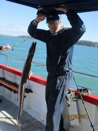 7 lb Conger Eel by Unknown