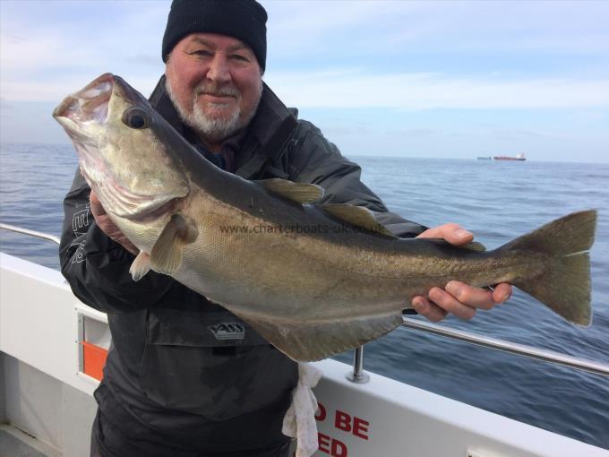 14 lb 4 oz Pollock by John Stepheson