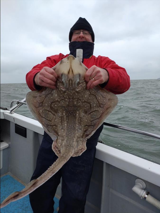 13 lb 4 oz Undulate Ray by Kit kat