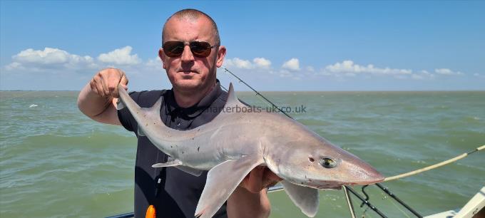 8 lb Smooth-hound by Steve