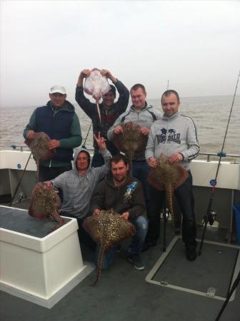 11 lb Thornback Ray by Unknown