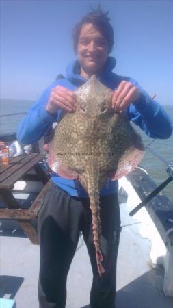 10 lb Thornback Ray by adam from hampshire