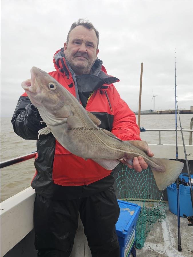 6 lb 8 oz Cod by Unknown