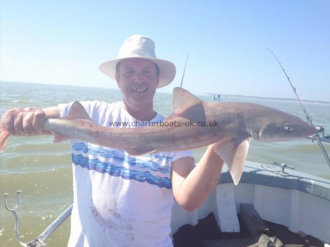 7 lb Smooth-hound (Common) by Mike