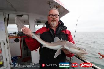 13 lb Starry Smooth-hound by Graham