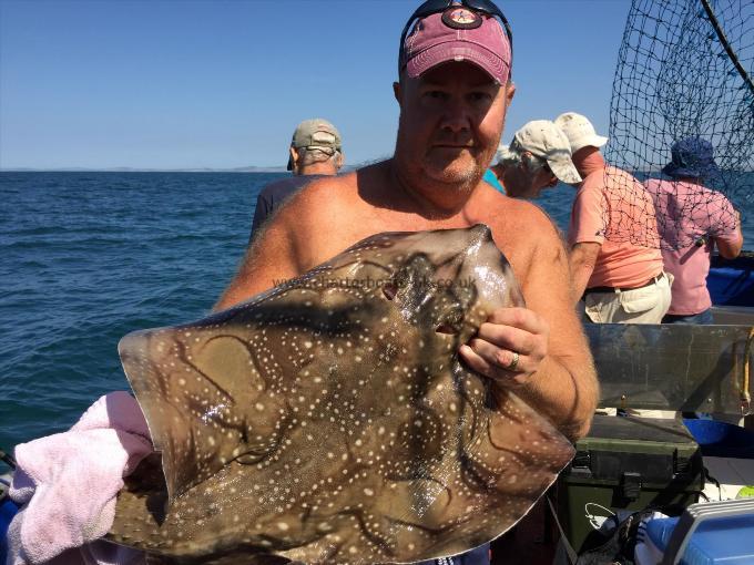 12 lb Undulate Ray by Tony Sampson