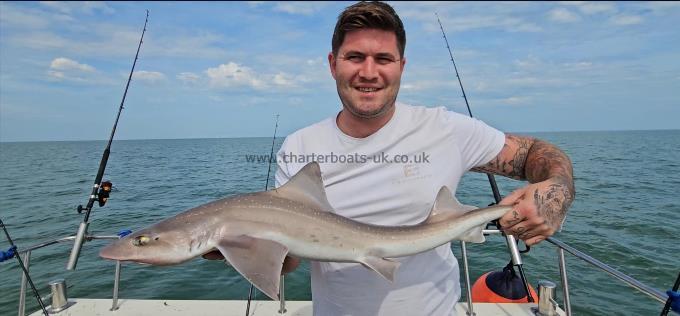 9 lb Starry Smooth-hound by Mark