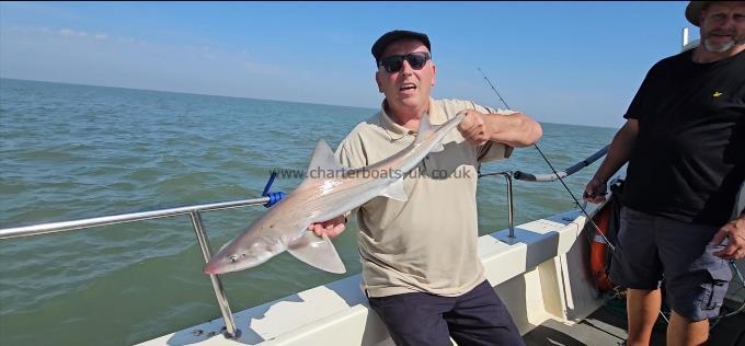 6 lb Smooth-hound by Mark
