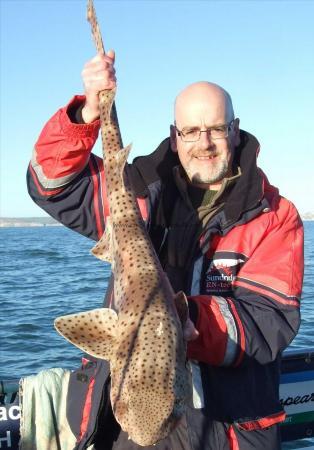 15 lb 9 oz Bull Huss by John Billett