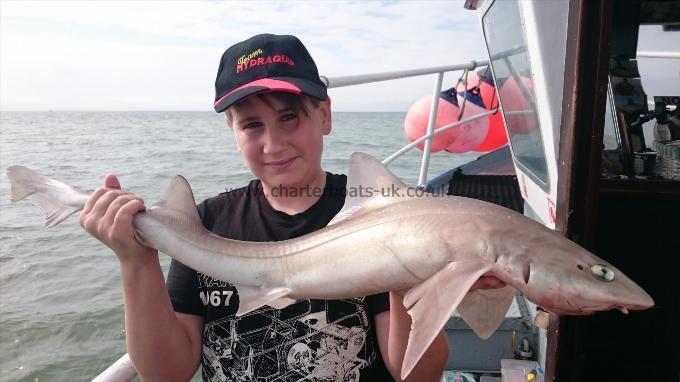 5 lb 2 oz Starry Smooth-hound by Dan from Kent