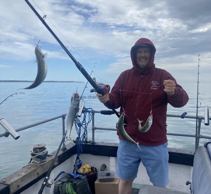 1 lb Mackerel by Unknown