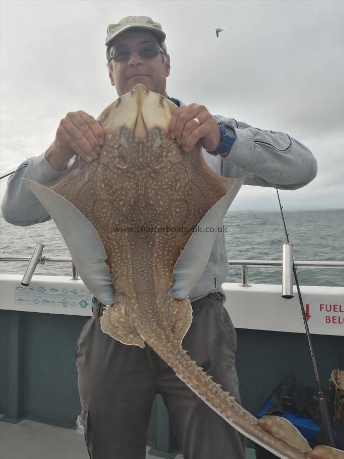 9 lb 12 oz Undulate Ray by Dave