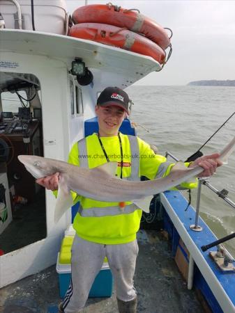 11 lb 4 oz Smooth-hound (Common) by Tom Barfoot