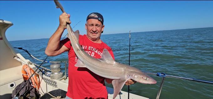 9 lb 13 oz Smooth-hound by Unknown