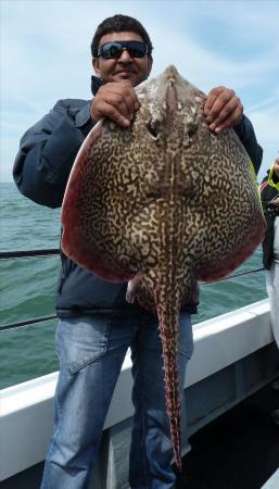 14 lb 12 oz Thornback Ray by Bob Marshall