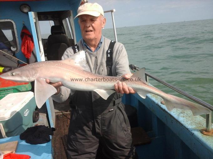 10 lb Starry Smooth-hound by Ron