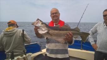 12 lb Pollock by Stephen Wake