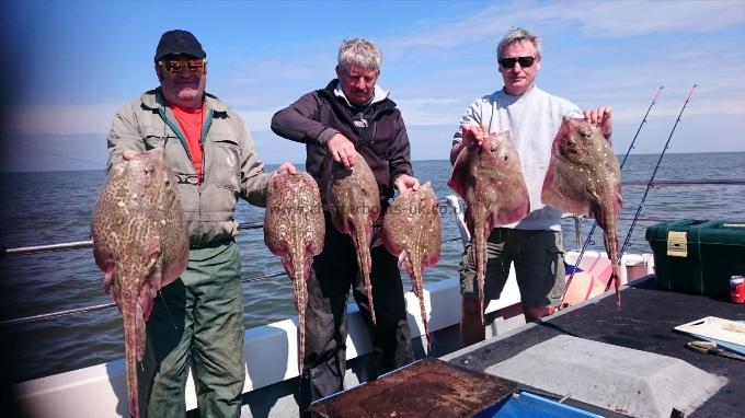 7 lb 8 oz Thornback Ray by Bob Marshall