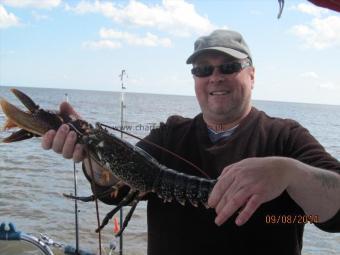 2 lb Lobster by Dave Mingay