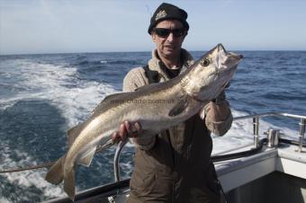 12 lb Pollock by Kevin McKie