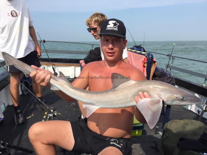8 lb Smooth-hound by Unknown