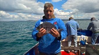 2 lb 8 oz Black Sea Bream by Stephen Wake