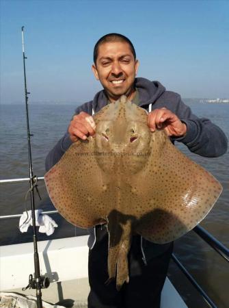 10 lb Blonde Ray by mo bhanji