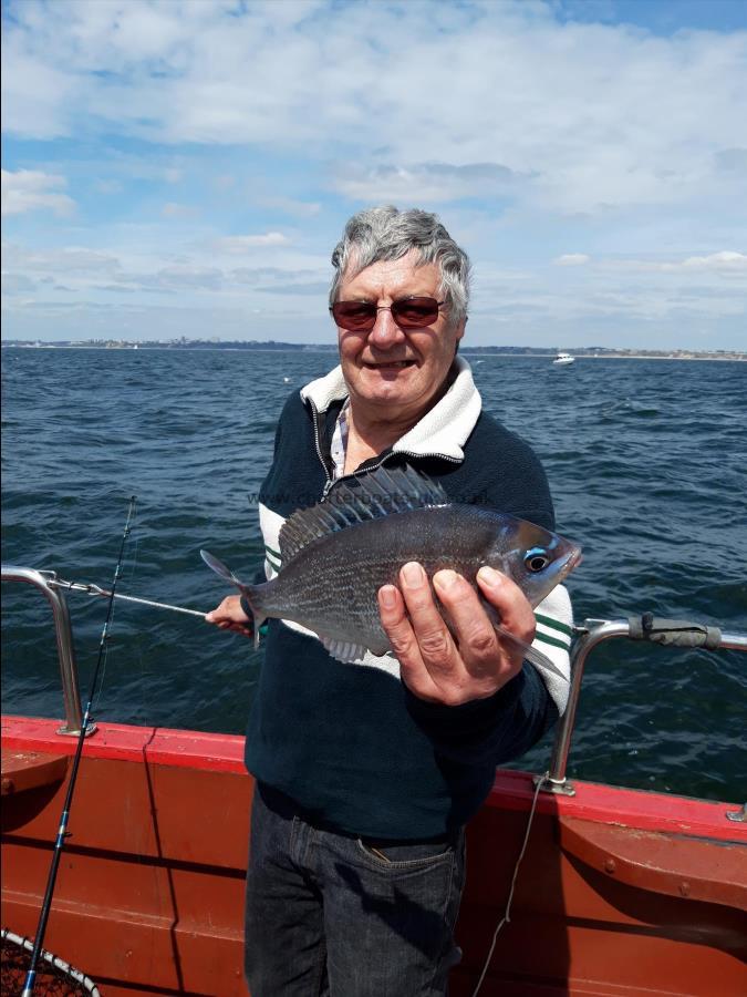 1 lb Black Sea Bream by Paul Green from Christchurch once again...