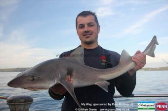16 lb Starry Smooth-hound by Neil