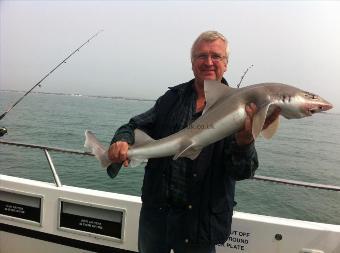 13 lb Smooth-hound (Common) by Unknown