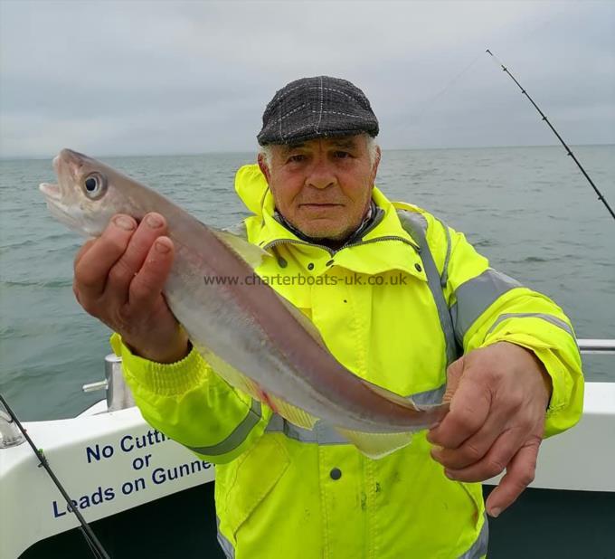 2 lb Whiting by Andy