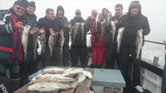 6 lb Cod by pauls cod party,