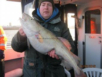 13 lb 8 oz Cod by Unknown