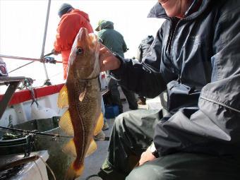 2 lb 8 oz Cod by Unknown