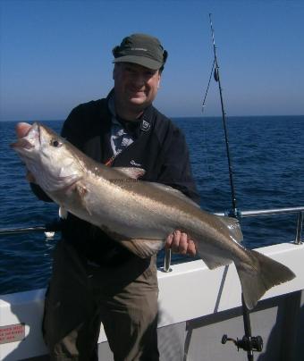 14 lb 6 oz Pollock by Gus