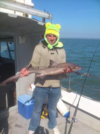 11 lb 4 oz Starry Smooth-hound by justin webber