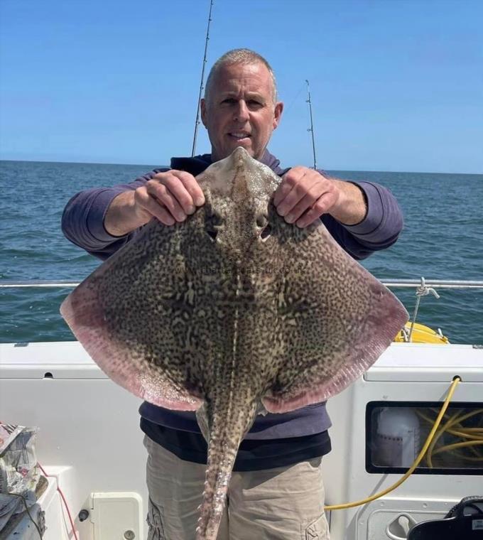 11 lb Thornback Ray by Unknown