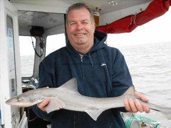 5 lb 5 oz Starry Smooth-hound by Alan