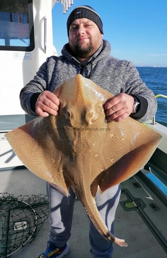 14 lb Blonde Ray by Unknown