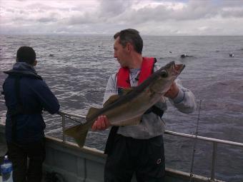 8 lb Pollock by Unknown