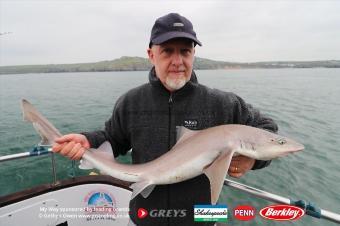 5 lb Starry Smooth-hound by Andy