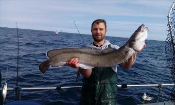 13 lb Ling (Common) by Paul Kitchen