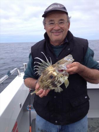 1 lb John Dory by Glenn knight