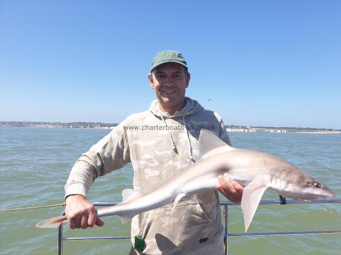 10 lb 12 oz Smooth-hound (Common) by Bob Marshall