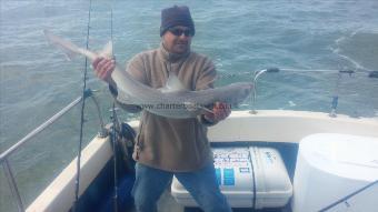 9 lb Starry Smooth-hound by Unknown